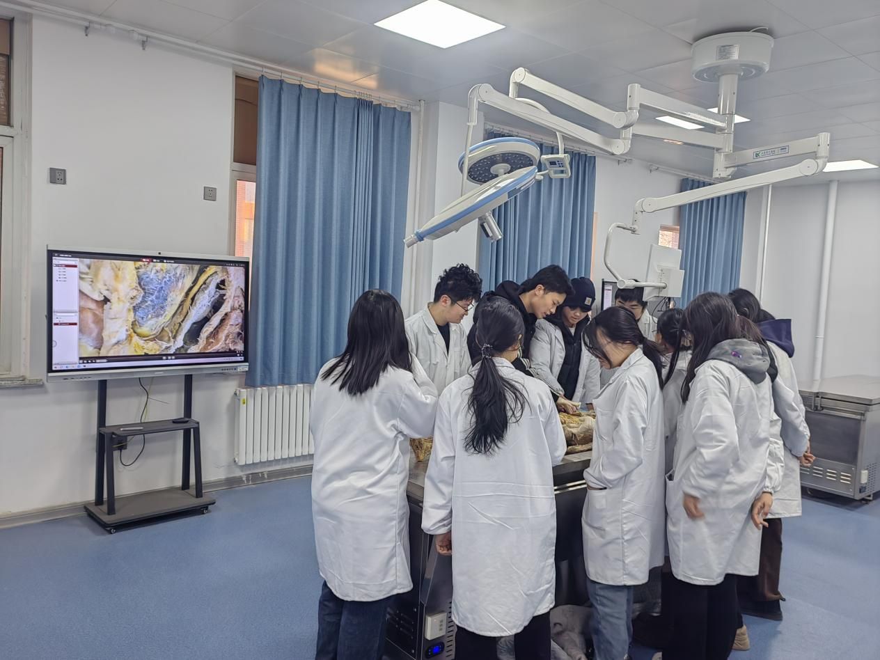 356791fbca63436b70a05f4d9cfd3f2d