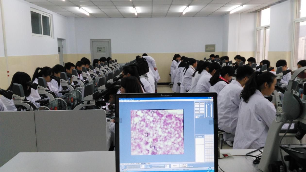 004693978046c040d865a597a0afa70f